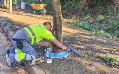 INICI DE LES OBRES DE MILLORA ALS ESCOCELLS DEL POLÍGON DE CAN MITJANS